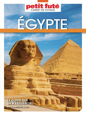 cover image of EGYPTE 2025 Carnet Petit Futé